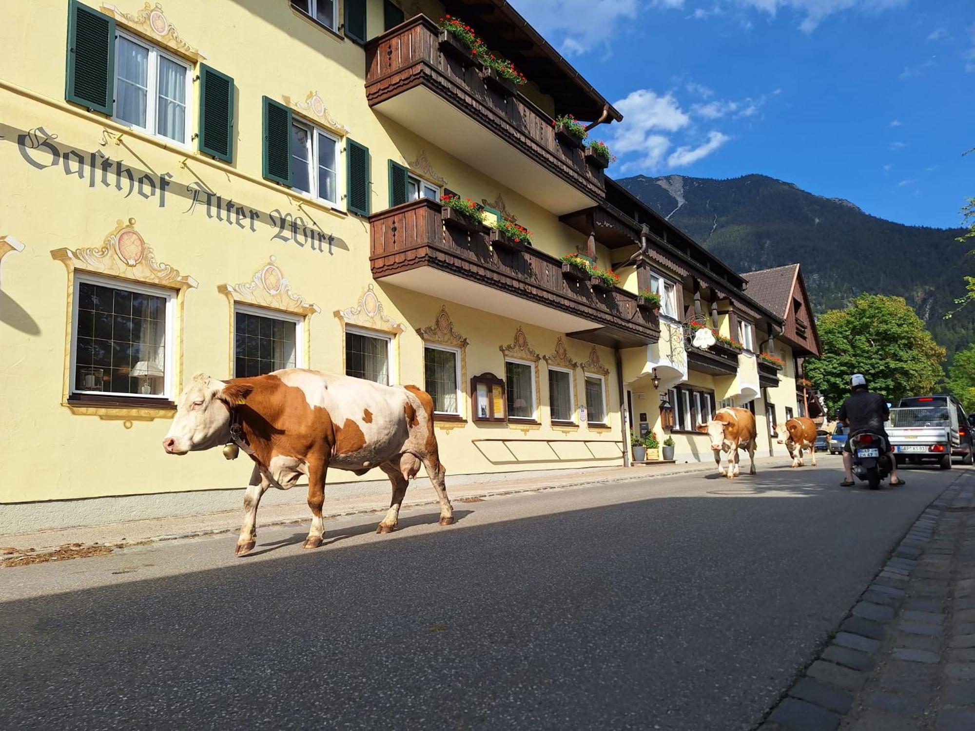 Hotel Gasthof Alter Wirt Farchant Exterior foto